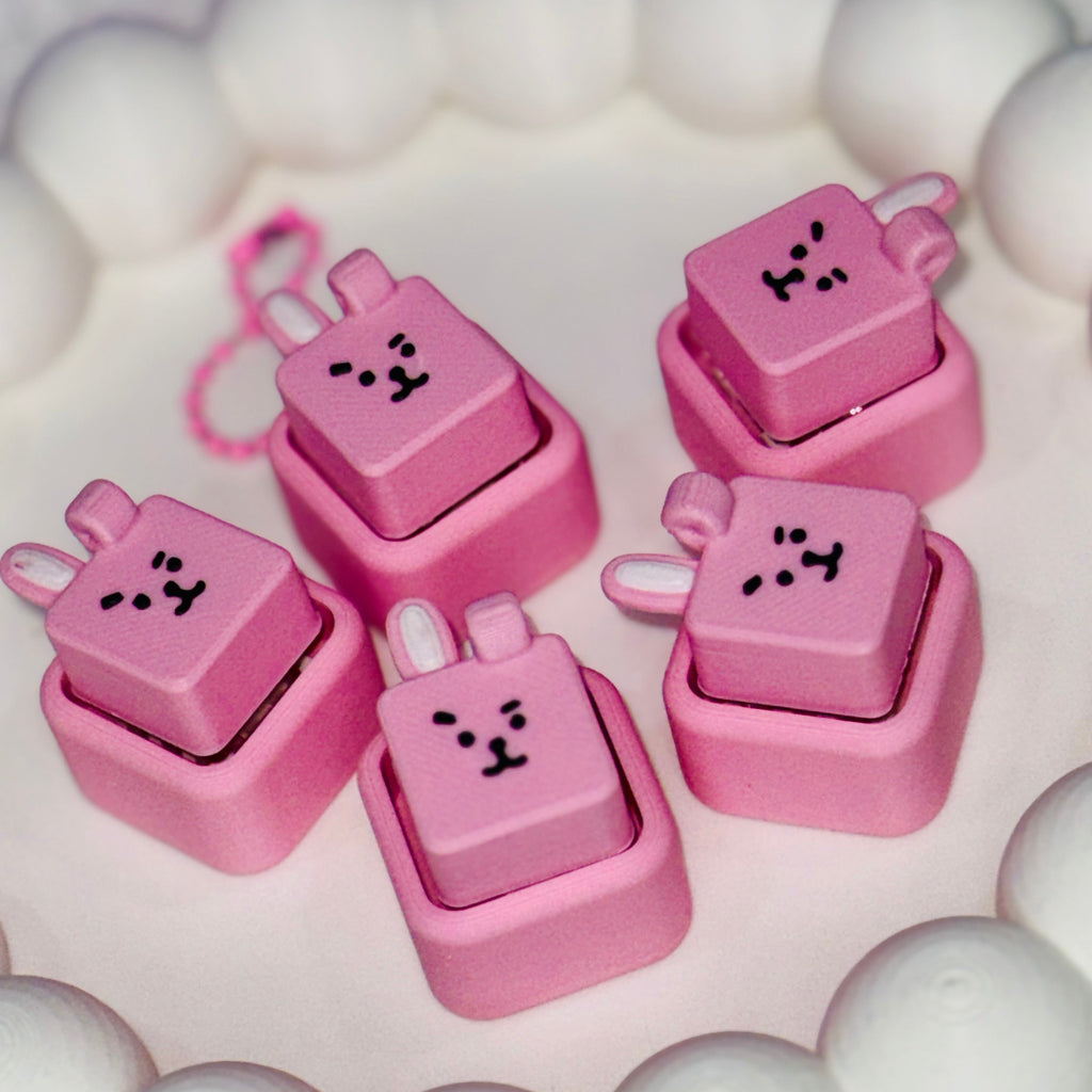 BT21 BTS Mini Cube Fidget Clicker Keychain