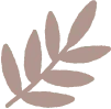 Kidify