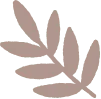 kidify